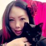 音月悠希🐈⬛✨🐈's profile picture