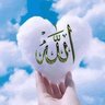 Profilbild von داسلامي نظام دفاع په هرمسلمان فرض ده