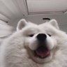 Profilbild von เธเนเธญเธเนเธเนเธเธเธธเธเธเธดเนเธ๐ชฟft.Delay
