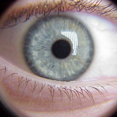 Ken Roy's profile picture