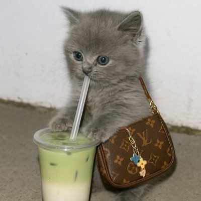 bbbian real's profile picture
