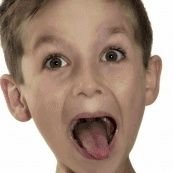 latebirdwakeup's profile picture