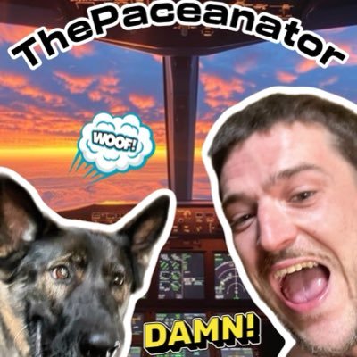 thepaceanator's profile picture