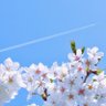 Фото профиля Ultramarine_Blue_Sky
