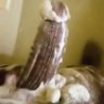 Фото профиля mr.loveher longtime