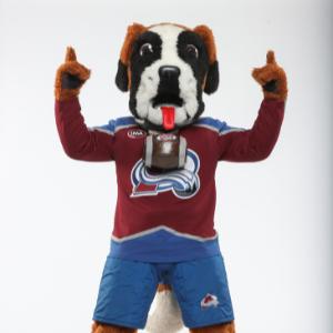 Bernie's profile picture