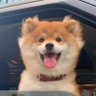 Kairo's profile picture