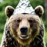 TinHatBearAK profil fotoğrafı