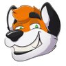Diesel Husky Dog 🧡🐶💣's profile picture
