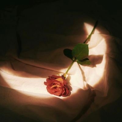 MUlFJqQ9tTCePxk's profile picture