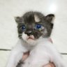 Profilbild von Fendy