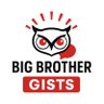 Big Brother Gists 的头像