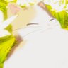 げまる_ 的头像