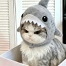 ありがとう's profile picture