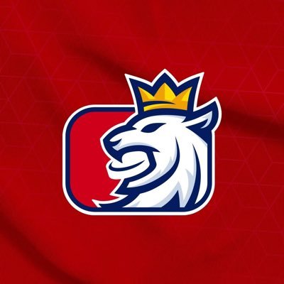 narodnitymzen's profile picture