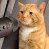 fann profil fotoğrafı
