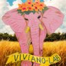 Profilbild von viviano-lab