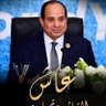 Wafaa Samy Saleh's profile picture