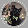 愛桜's profile picture