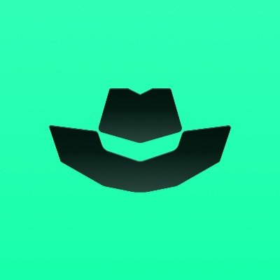 captideRBLX's profile picture