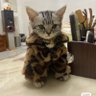 Фото профиля MidDayNap