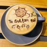 Sultan Bai 的头像