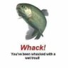 wack! youve 🫵been wacked with a wet trout 的头像