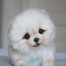 币经之路's profile picture