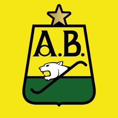 Atlético Bucaramanga's profile picture