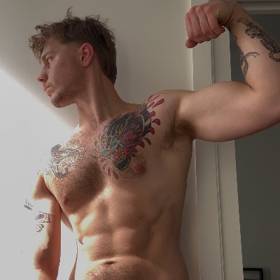 Alex GYM FREE OF's profile picture