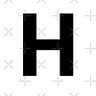 H's profile picture