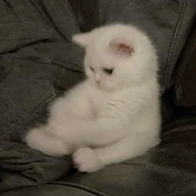 w's profile picture