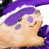 Eve's profile picture