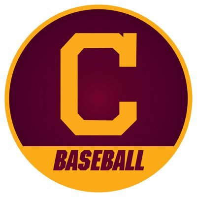 CMUBaseball's profile picture