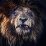 Lunathi Dlomo's profile picture