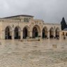 Фото профиля فهد الصحراء