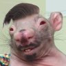 Profilbild von Renan Gaguinho