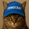 TabbyCat 的头像