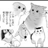 ʕ•ᴥ•ʔ健康と心の平穏 的头像
