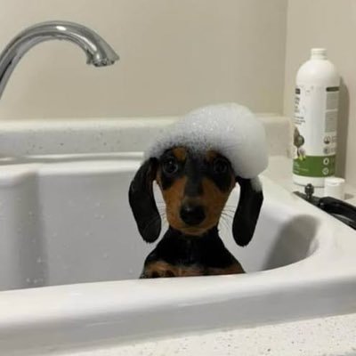 plup..'s profile picture