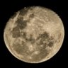 Profilbild von Luna