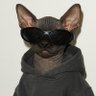 El Diablo Suave's profile picture