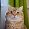Zeemzki profil fotoğrafı