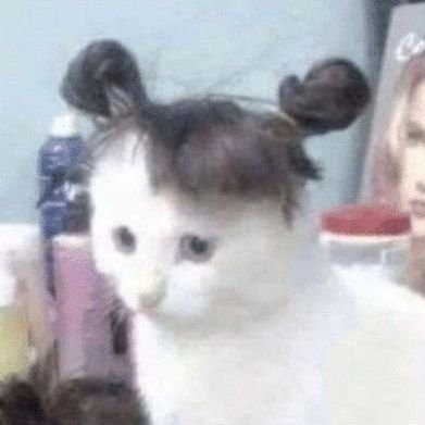 mheemhaaboost's profile picture