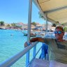 Greg Gruich profil fotoğrafı
