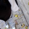 ll3lanur's profile picture