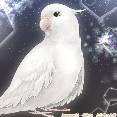 とりちゃん's profile picture