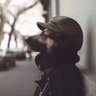 PAYTON profil fotoğrafı