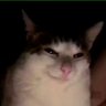 ゴロ美 .bot's profile picture
