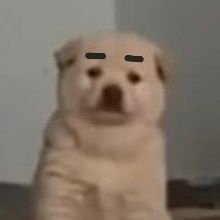 띵똥's profile picture